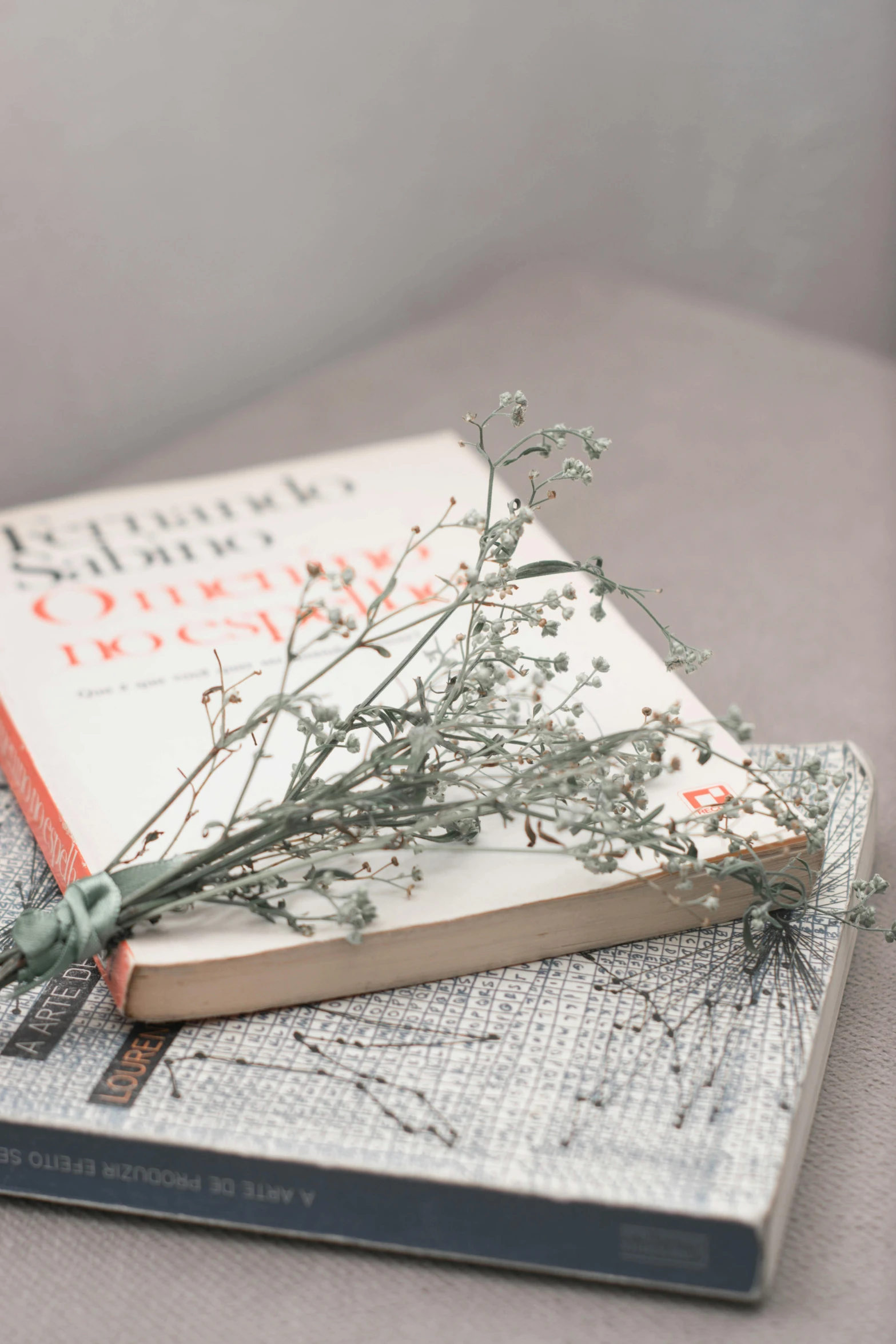 a stack of books sitting on top of a table, dried flower, grey and silver, trying to read, stems