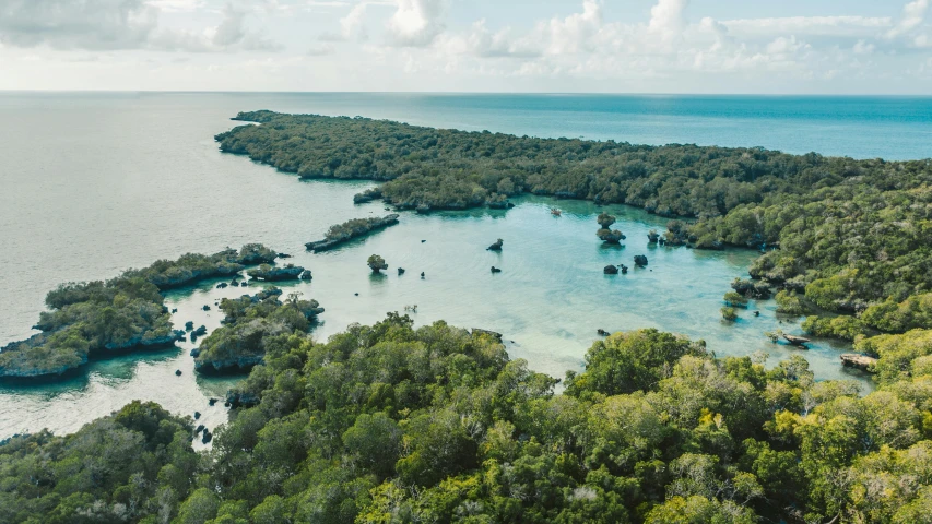 a large body of water surrounded by trees, a digital rendering, pexels contest winner, hurufiyya, samoan features, bird view, mangrove trees, crystal clear blue water