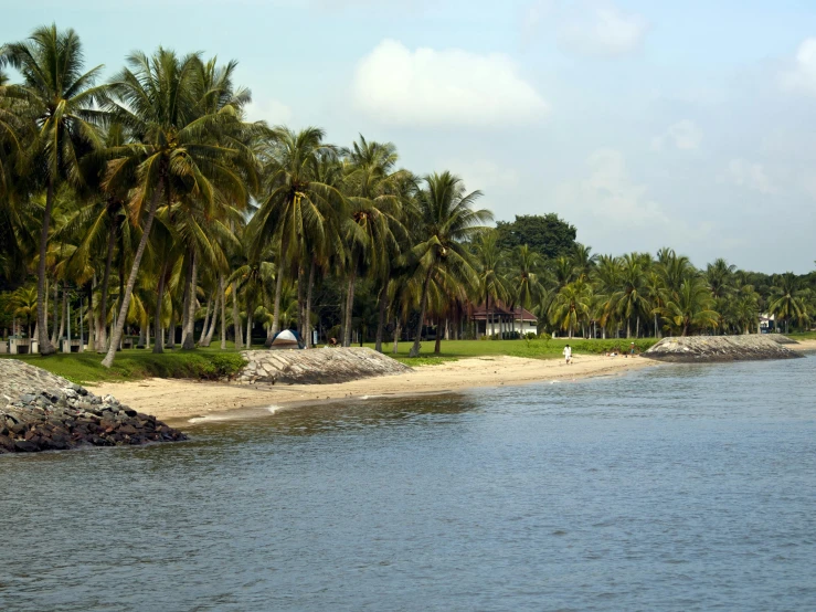a body of water surrounded by palm trees, beachfront, indian forest, lush surroundings, chocolate