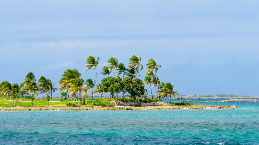 a small island in the middle of the ocean, by Carey Morris, pexels contest winner, with palm trees in the back, wind blown trees, promo image, conde nast traveler photo