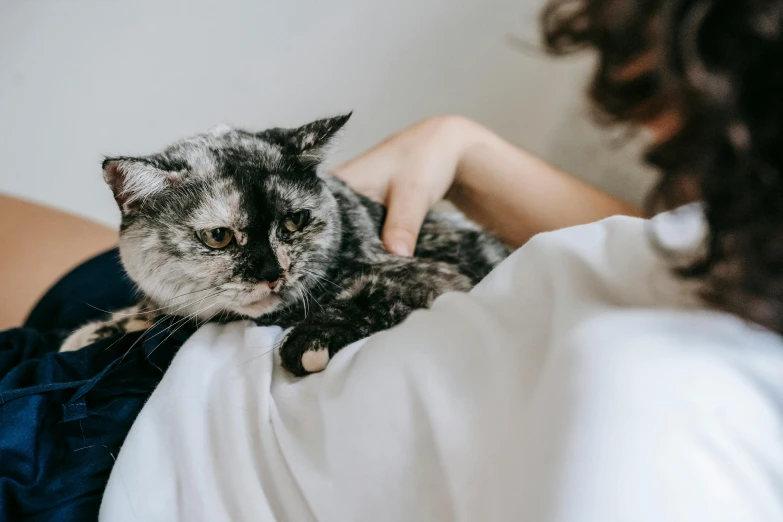 a close up of a person holding a cat, sitting on a bed