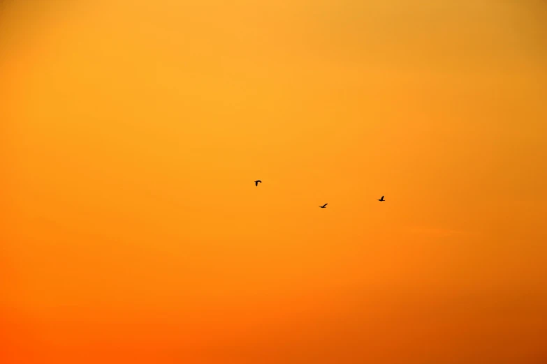 a couple of birds that are flying in the sky, by Andries Stock, pexels contest winner, minimalism, the three suns, orange gradient, warm hues, shot on sony a 7