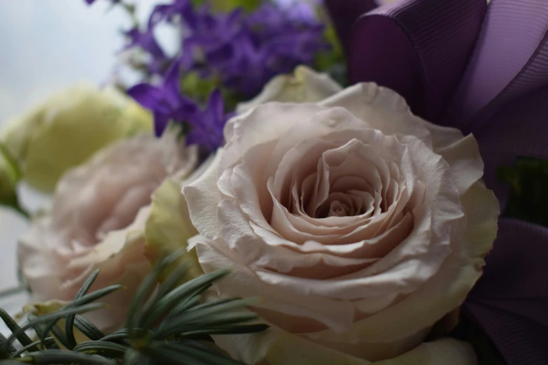 a close up of a bouquet of flowers, lavender blush, natural point rose', comforting, extra detail