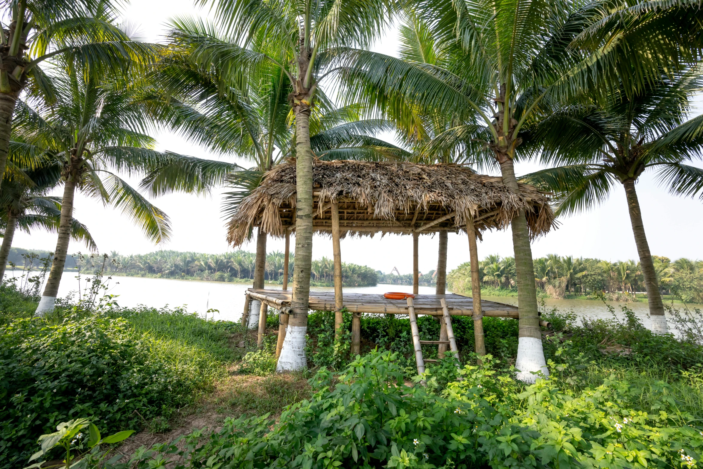 a hut sitting on top of a lush green field, near a jetty, blessing palms, beside the river, photo shoot