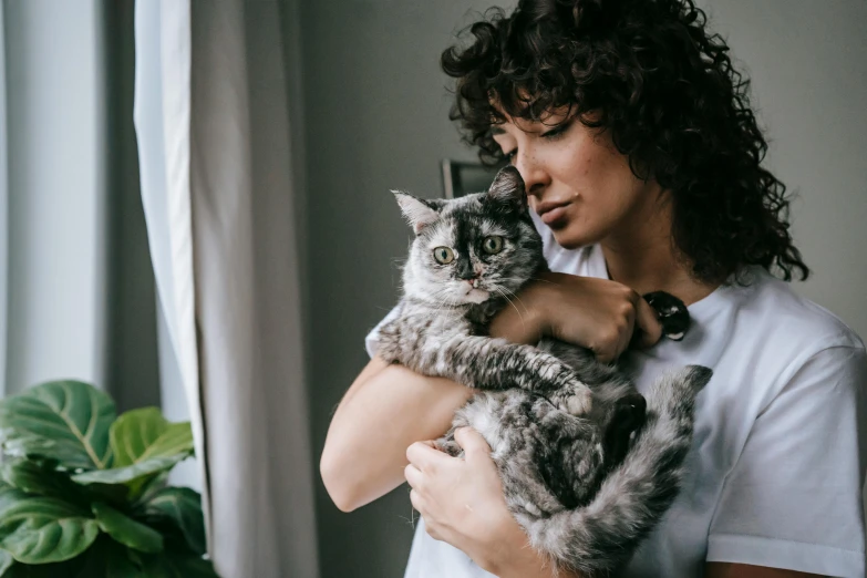 a woman holding a cat in her arms, pexels contest winner, curly haired, full of silver layers, thumbnail, brunette woman