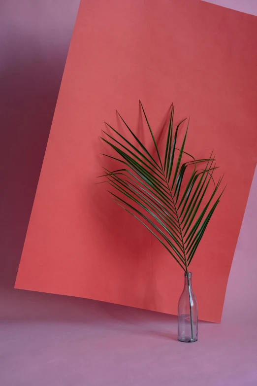 a plant in a vase on a pink background, an abstract sculpture, trending on pexels, red reflective lens, palm lines, layered paper, studio backdrop