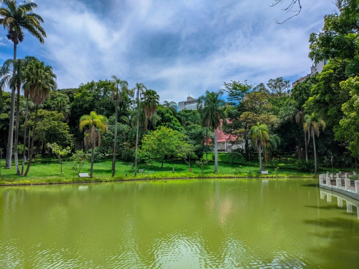 a large body of water surrounded by trees, inspired by Carlos Francisco Chang Marín, pexels contest winner, art nouveau, in sao paulo, in marijuanas gardens, a green, small pond