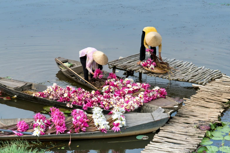 a couple of boats sitting on top of a body of water, inspired by Steve McCurry, pexels contest winner, flower sepals forming helmet, in style of lam manh, picking up a flower, market setting