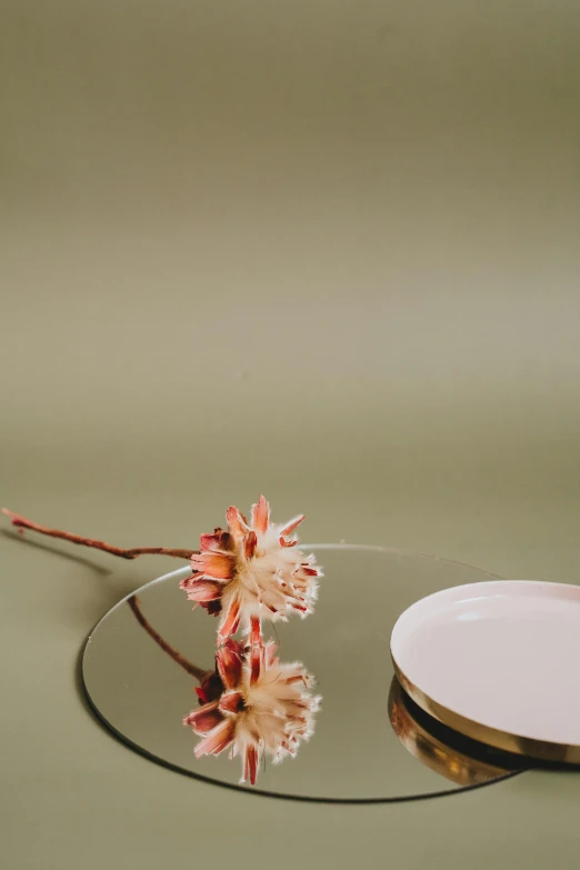 a white plate sitting on top of a table next to a flower, by Nina Hamnett, conceptual art, on a reflective gold plate, pink studio lighting, ceramic pot, close up shot from the side