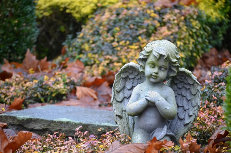 a statue of an angel in a garden, by Carey Morris, pixabay contest winner, during autumn, instagram photo, heartbreaking, promo image