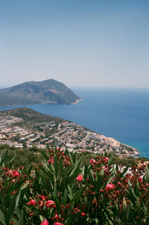 a large body of water next to a lush green hillside, a picture, inspired by Thomas Struth, trending on unsplash, renaissance, mediterranean city, flowers sea everywhere, photo taken on fujifilm superia, 1999 photograph