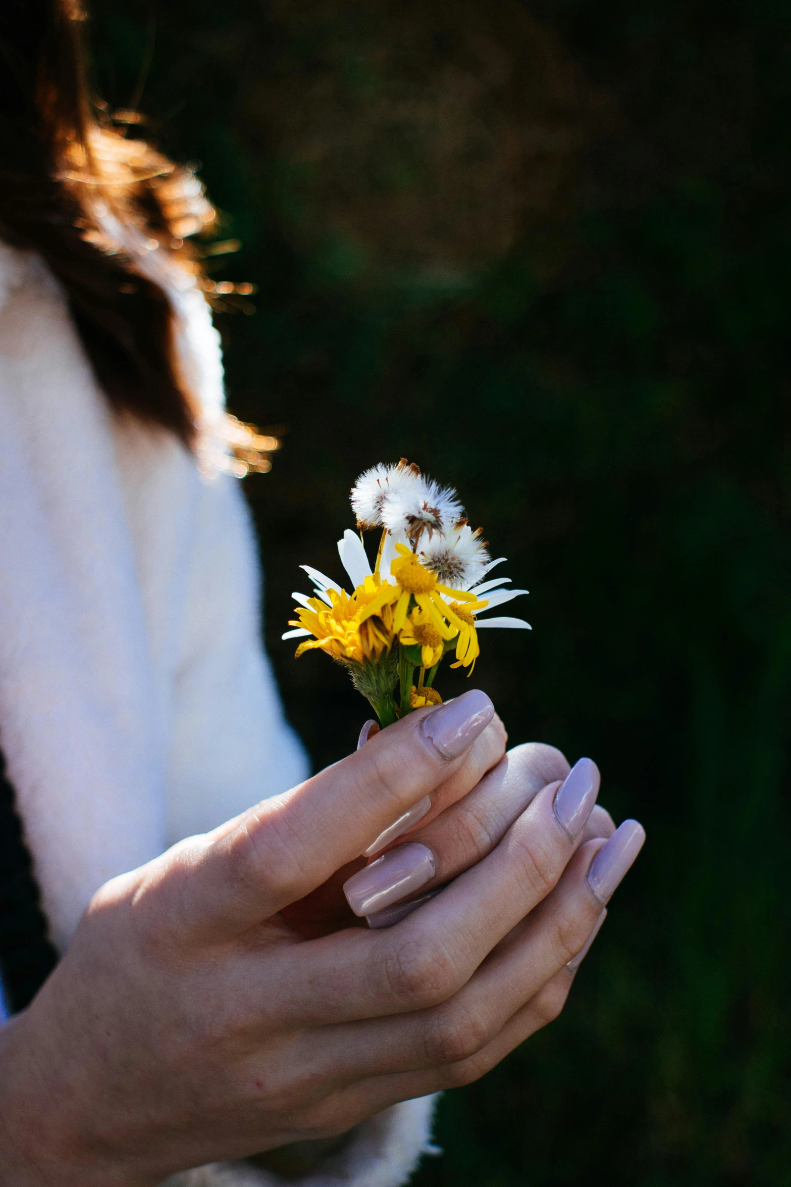 a close up of a person holding a flower, yellow flowers, casually dressed, holding daisy, dandelion