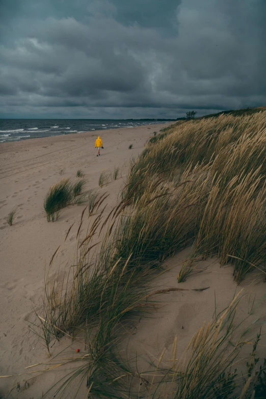 a yellow umbrella sitting on top of a sandy beach, by Jesper Knudsen, unsplash contest winner, land art, walking in high grass field, stormy coast, andrei tarkovsky scene, gray skies