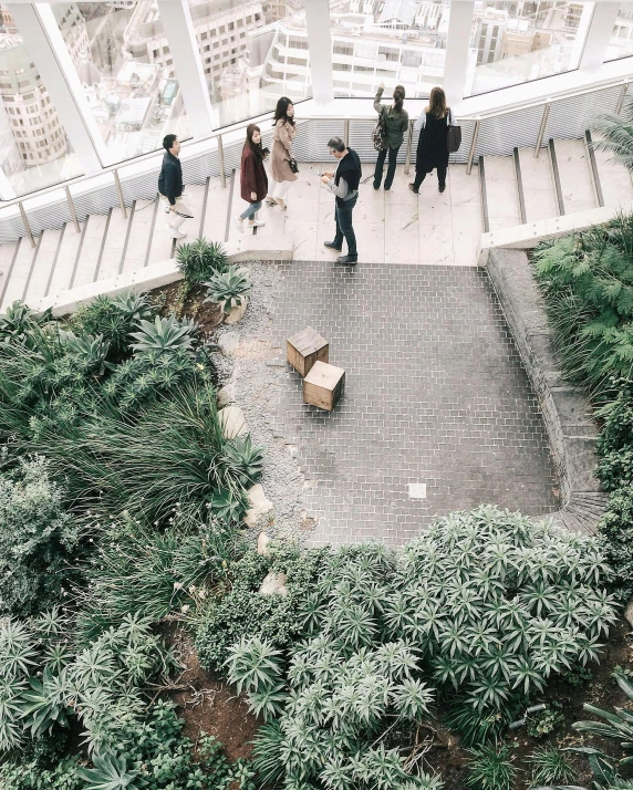 a group of people standing on top of a building, lush greenery, small steps leading down, flatlay, high rises