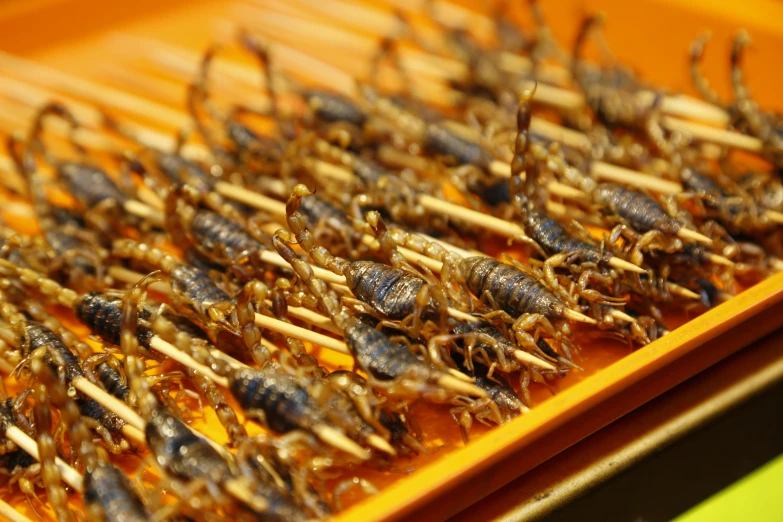 a tray filled with lots of fried insects, by Bradley Walker Tomlin, close up of iwakura lain, scorpion whip, ap, marketing photo