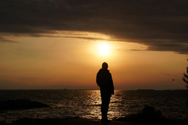 a person standing on a beach at sunset, a picture, sad man, ((sunset)), brown