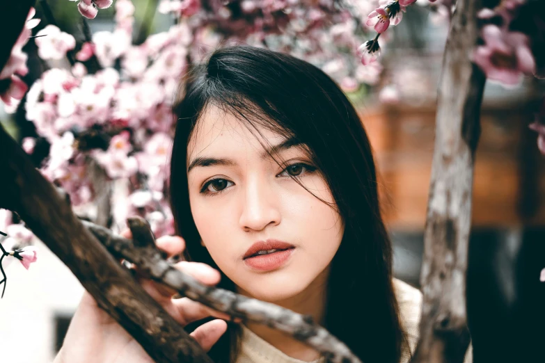 a close up of a person near a tree, by Julia Pishtar, trending on pexels, hurufiyya, asian beautiful face, blossoming, young cute wan asian face, 1 2 9 7