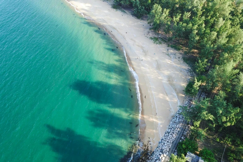 an aerial view of a beach surrounded by trees, pexels contest winner, hurufiyya, “ iron bark, in style of thawan duchanee, hd footage, a green