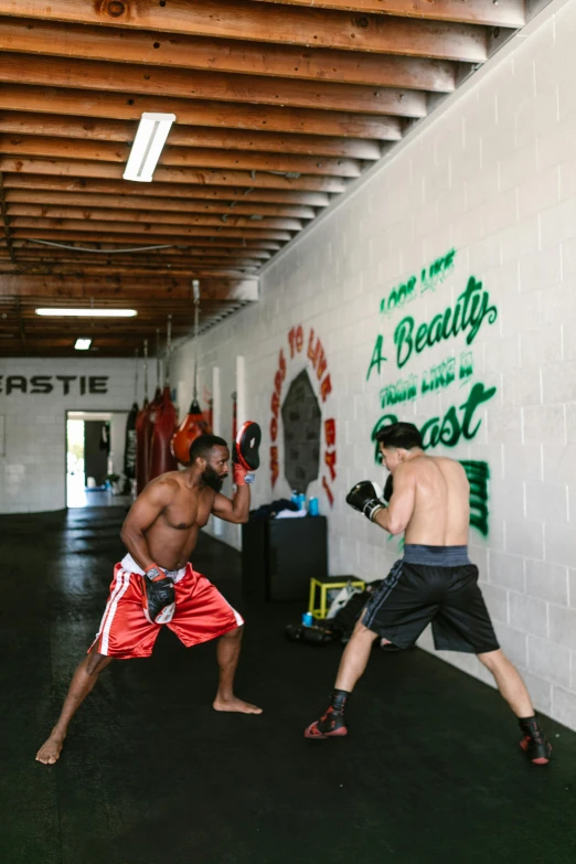 a couple of men standing next to each other in a room, sparring, athletic build, profile image