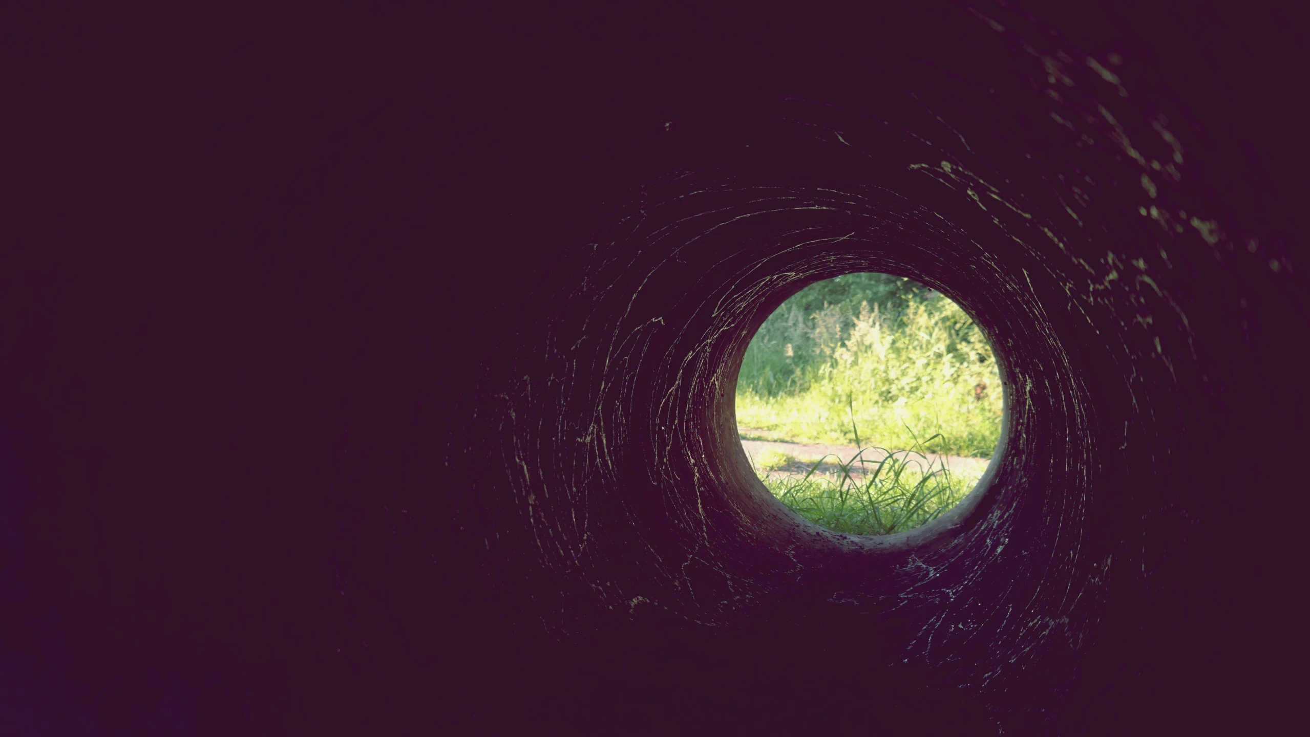 a light at the end of a dark tunnel, a picture, land art, large round window, summer day, tubular creature, old color photograph