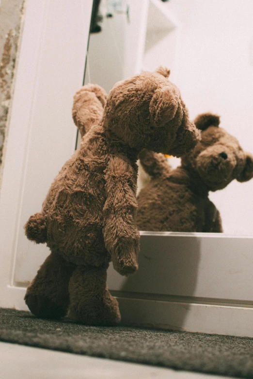 a couple of teddy bears sitting in front of a mirror, a cartoon, unsplash, romanticism, leaning on door, brown, low detail, jellycat