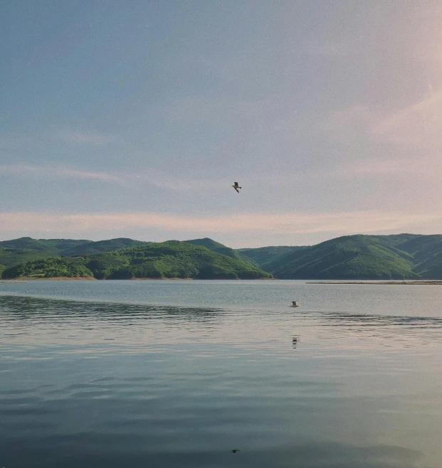 a bird flying over a body of water, hills in the background, people swimming, carpathian mountains, surfing