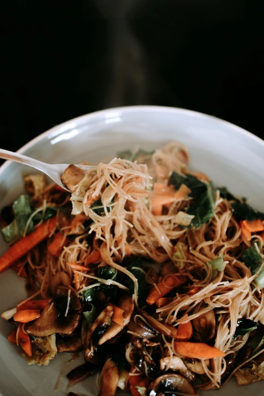 a close up of a plate of food on a table, inspired by Tan Ting-pho, pexels contest winner, renaissance, translucent, wok, straw, veggies