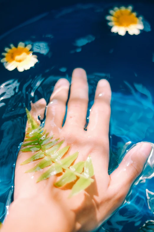 a close up of a person's hand in a bowl of water, photosynthetic, silicone skin, spring vibes, curved blades on each hand