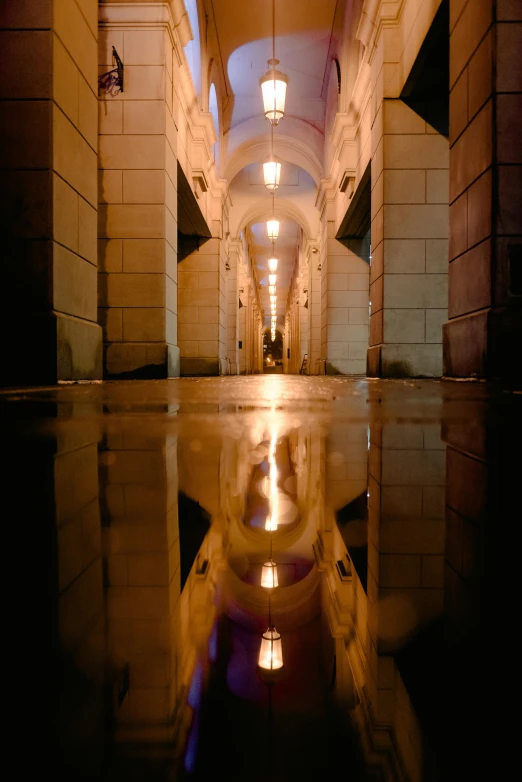 a reflection of a building in a puddle of water, by Carl Rahl, visual art, inside a crypt, capitol building, long dark hallway, archs