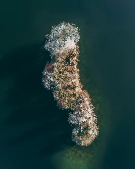 a small island in the middle of a body of water, by Sebastian Spreng, unsplash contest winner, land art, shy looking down, slightly pixelated, captured on canon eos r 6, tall tree