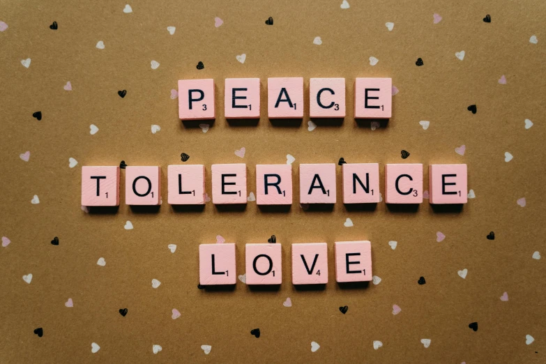a sign that says peace to tolerance love, by Arabella Rankin, pixabay, renaissance, polariod, pieces, pink tones, 15081959 21121991 01012000 4k