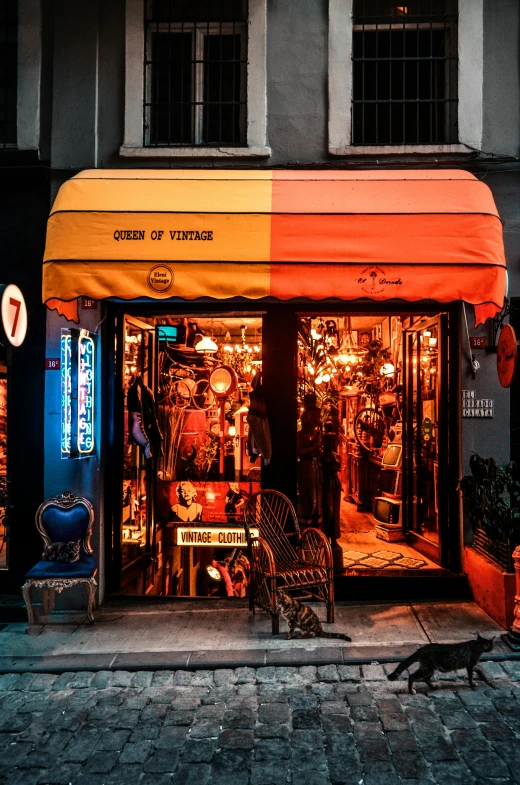 a store front with a cat walking in front of it, a colorized photo, by Elsa Bleda, pexels contest winner, orange lights, awnings, vintage clothing, covered in