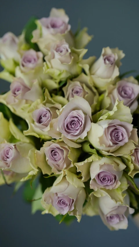 a close up of a bunch of flowers in a vase, grey mist, rumble roses, lime and violet, an award winning