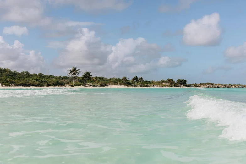 a man riding a surfboard on top of a wave in the ocean, aruba, sparsely populated, lush oasis, profile image