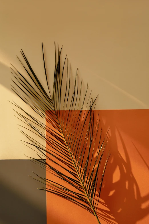 a close up of a palm leaf on a wall, an abstract sculpture, inspired by Bauhaus, orange gradient, muted brown yellow and blacks, promo image, high angle