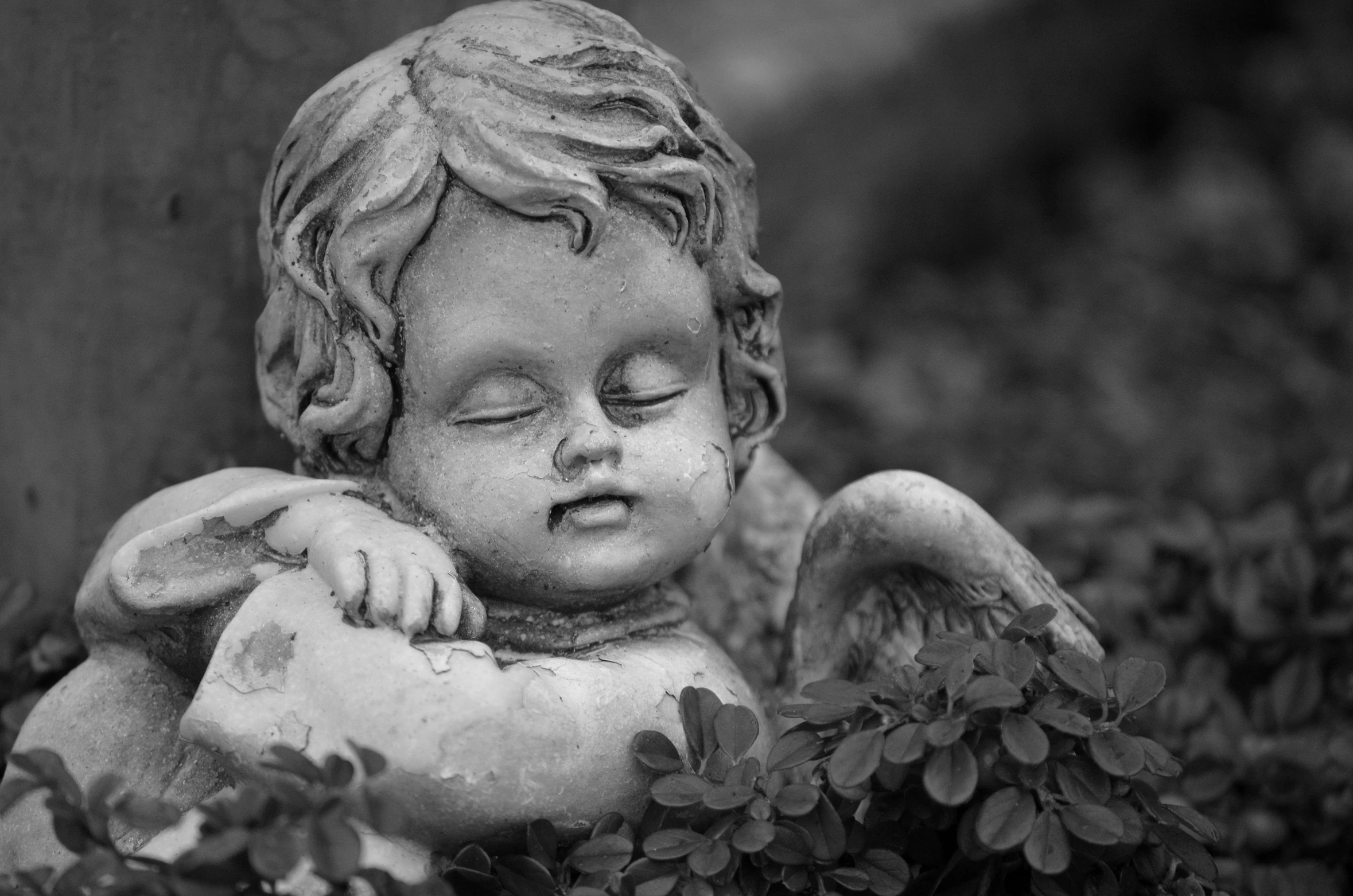 a black and white photo of a statue of an angel, inspired by Correggio, pixabay contest winner, nearly napping, adorable, covered in vines, dead child