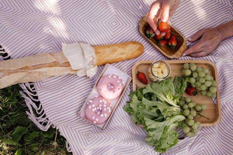 a couple of people sitting on top of a blanket, inspired by Richmond Barthé, unsplash, pink frosted donut, having a picnic, baking french baguette, high angle close up shot