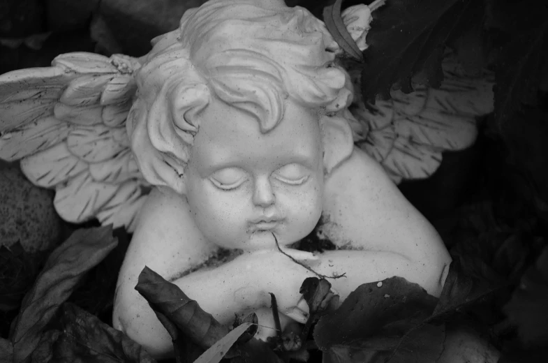 a black and white photo of a little angel, inspired by Correggio, pixabay contest winner, baroque, amongst foliage, very sad face, monochrome 3 d model, sweet dreams