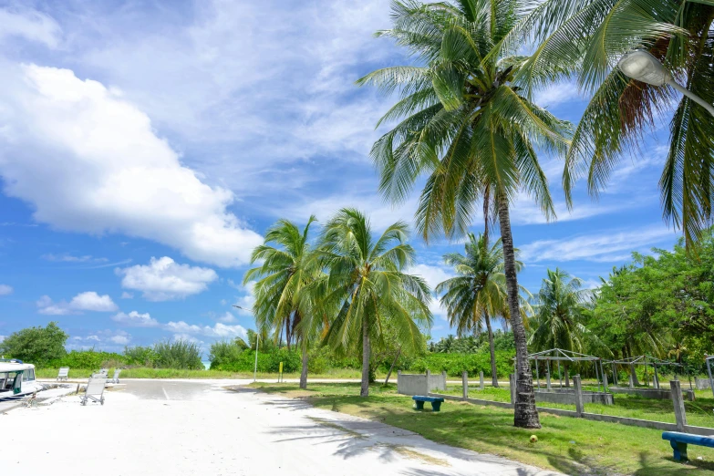 a couple of benches sitting on top of a sandy beach, coconut trees, tyndall rays, islamic, a park