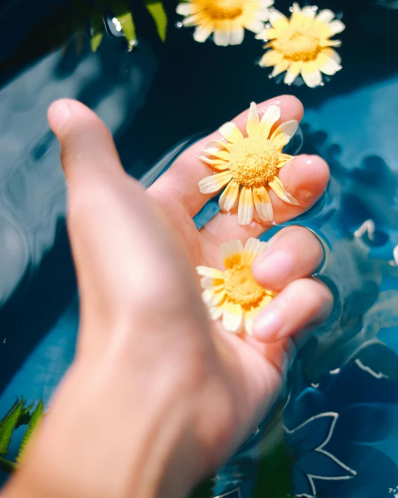 a person holding a flower in a bowl of water, blue and yellow theme, 🌸 🌼 💮, reaching out to each other, skincare