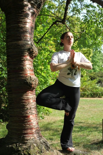 a man standing in a tree doing a yoga pose, inspired by Liao Chi-chun, trees in background, non-binary, looking towards camera, pose