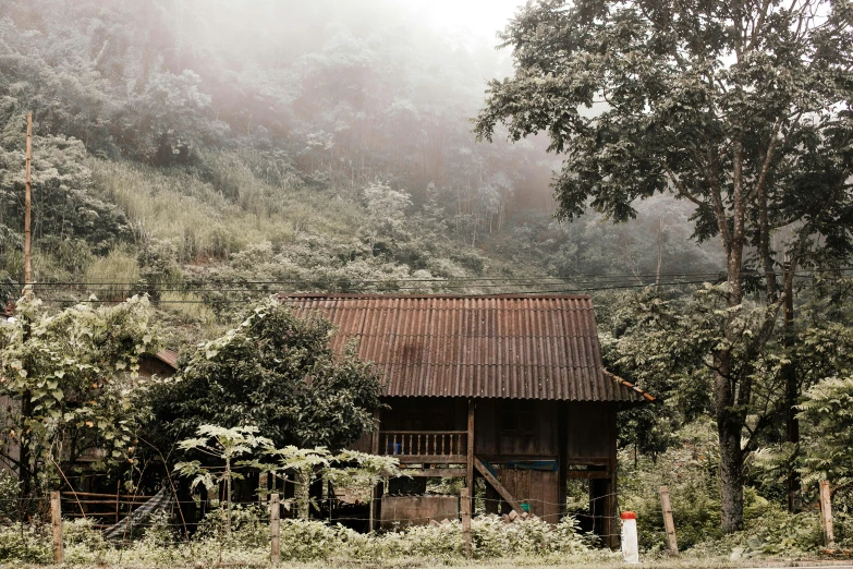 a red fire hydrant sitting on the side of a road, by Daniel Lieske, unsplash contest winner, sumatraism, tribe huts in the jungle, mist in valley, minimalistic house in the wood, vietnam