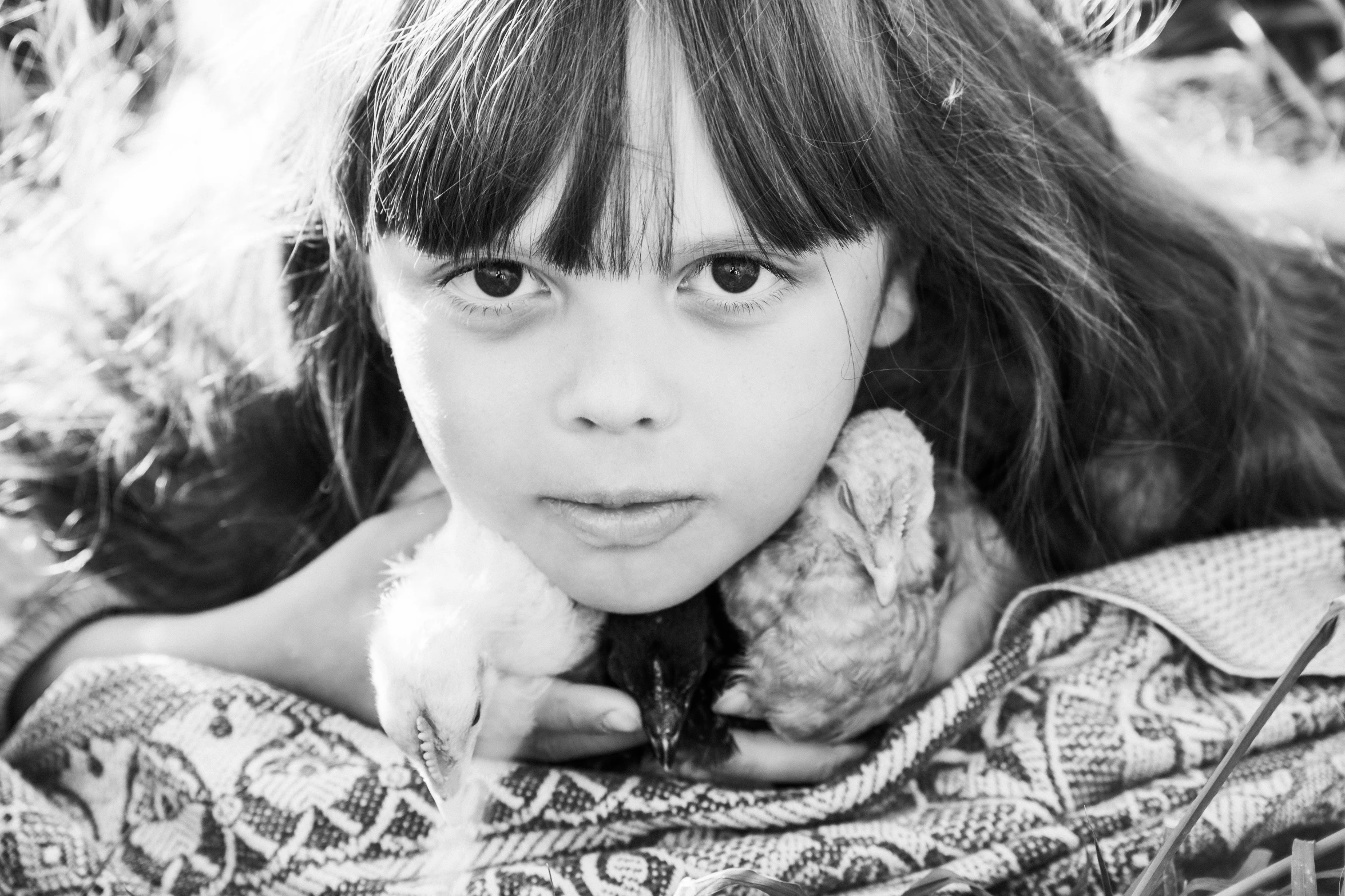 a black and white photo of a little girl holding a teddy bear, a black and white photo, inspired by Dorothea Lange, renaissance, with chicks, chicken feathers, close - up face portrait from up, ellie victoria gale