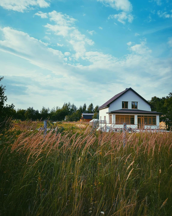 a white house sitting on top of a lush green field, pexels contest winner, modernism, standing in tall grass, midsommar color theme, profile image, luxurious wooden cottage