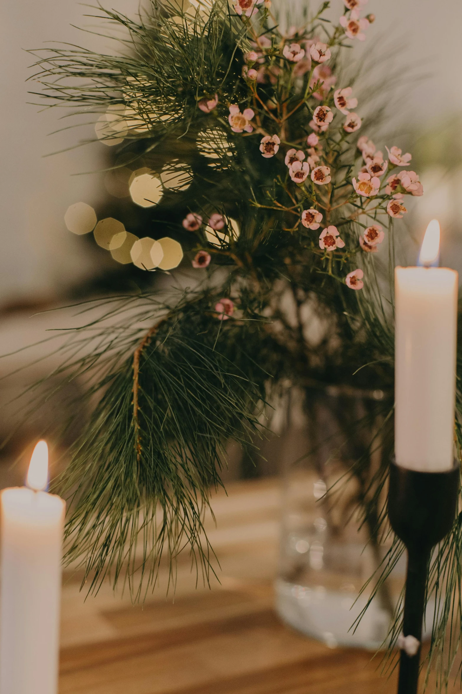 a couple of candles sitting on top of a wooden table, evergreen branches, soft bloom lighting, trending photo