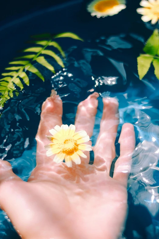 a person holding a flower in a bowl of water, body of water, blue and yellow theme, [ floating ]!!, instagram post