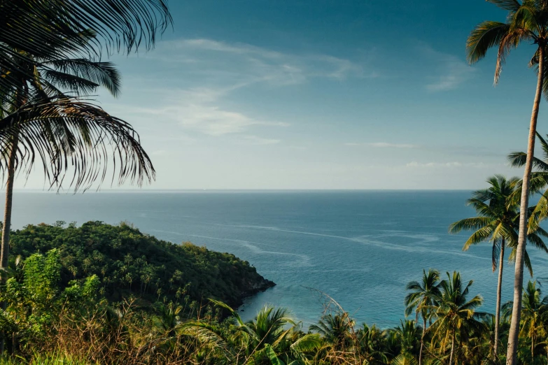 a large body of water surrounded by palm trees, by Tobias Stimmer, pexels contest winner, ocean cliff view, lush forests, conde nast traveler photo, looking out over the sea