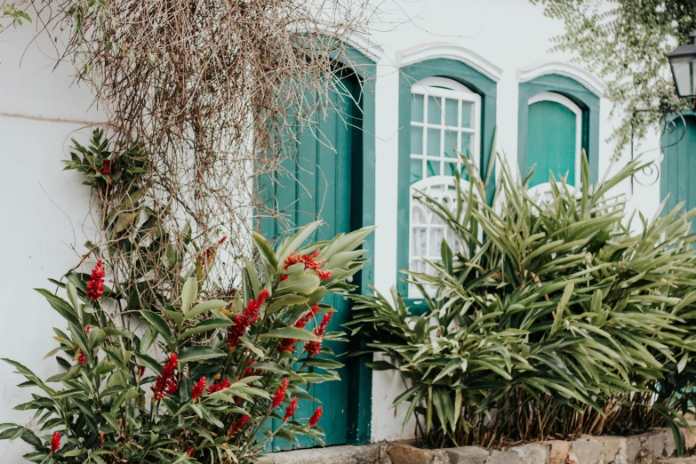 a red fire hydrant sitting in front of a white house, by Carey Morris, pexels contest winner, arts and crafts movement, tropical plants, sea - green and white clothes, arched doorway, village house