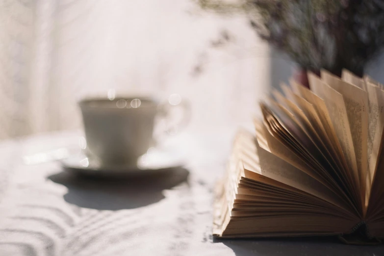 an open book sitting on top of a table next to a cup of coffee, pexels contest winner, romanticism, sunlit, close - up portrait shot, on a pale background, softly backlit