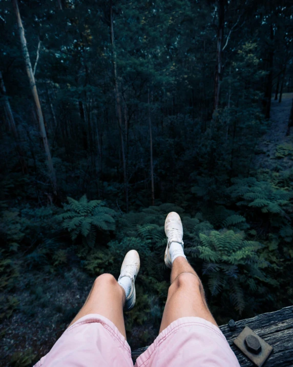 a person sitting on a bench in the woods, high above the ground, detailed legs looming over you, australian bush, instagram post